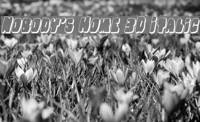Nobody's Home 3D Italic Font examples