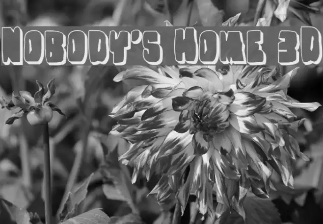 Nobody's Home 3D Font examples