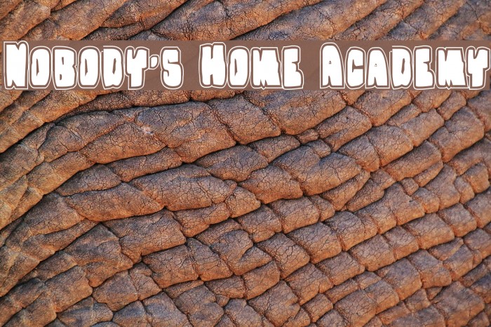 Nobody's Home Academy Font examples