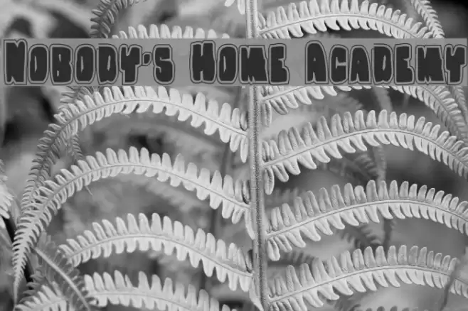 Nobody's Home Academy Font examples
