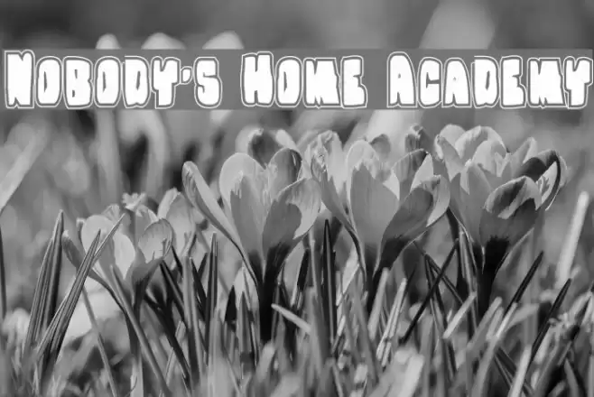 Nobody's Home Academy Font examples