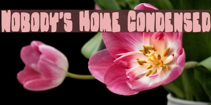 Nobody's Home Condensed Fonte examples