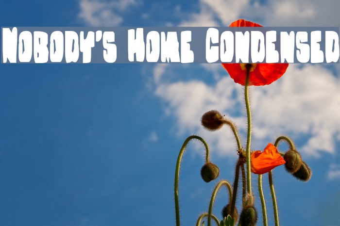 Nobody's Home Condensed Example 3