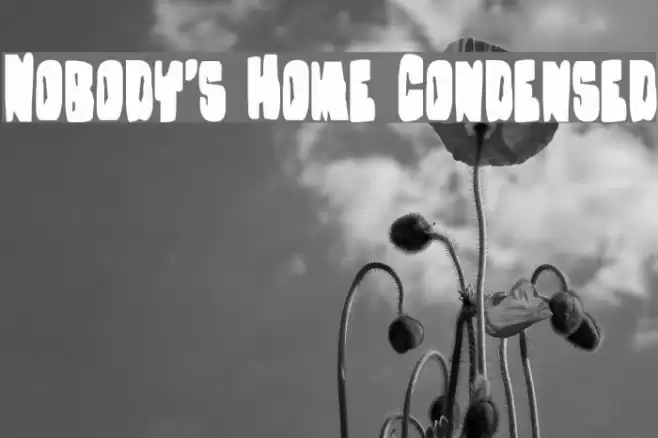 Nobody's Home Condensed Font examples