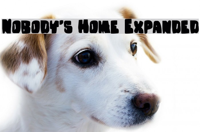 Nobody's Home Expanded Font examples
