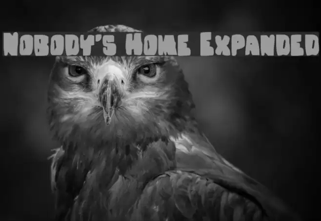 Nobody's Home Expanded Font examples