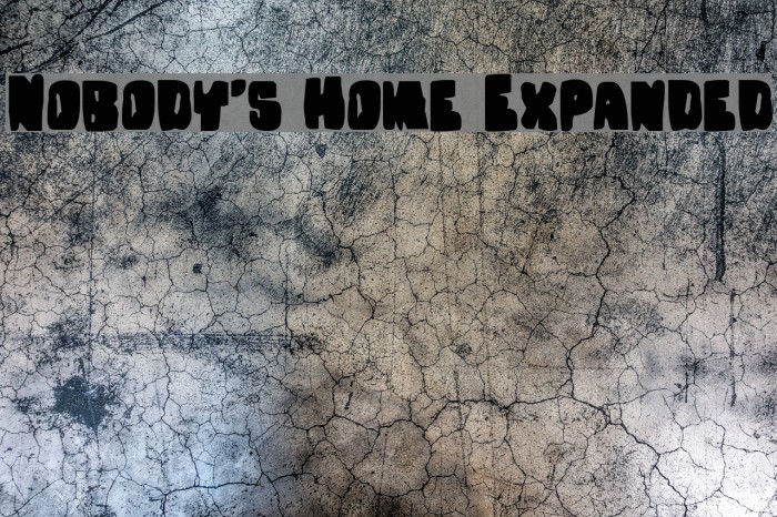 Nobody's Home Expanded Font examples