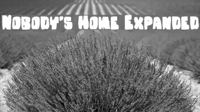 Nobody's Home Expanded Font examples