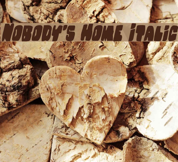 Nobody's Home Italic Font examples