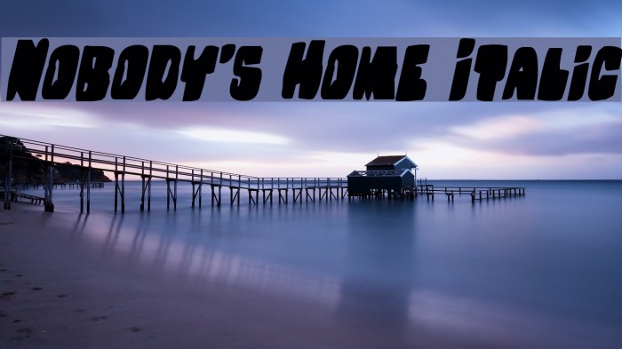 Nobody's Home Italic Font examples