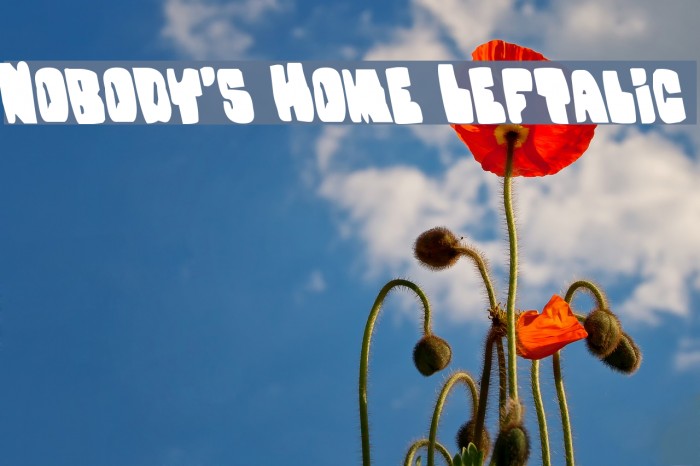 Nobody's Home Leftalic Font examples