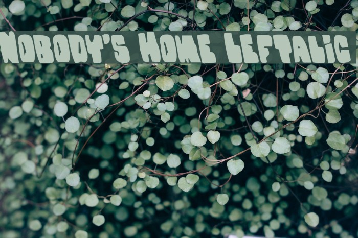 Nobody's Home Leftalic Font examples