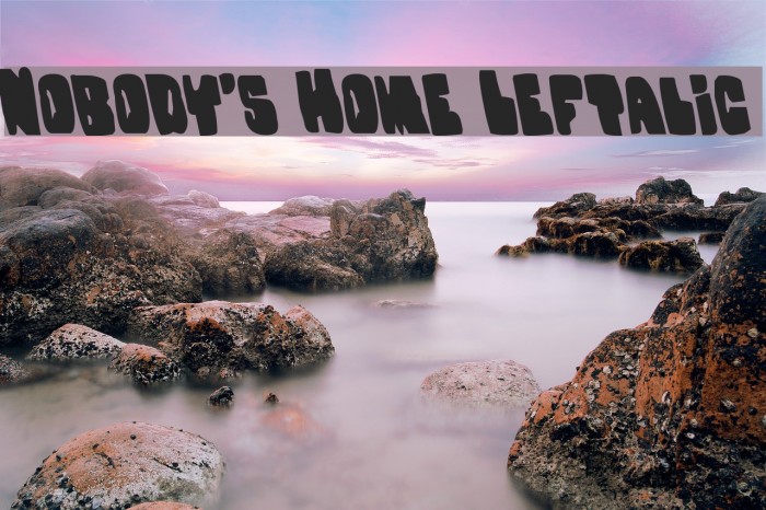 Nobody's Home Leftalic Example 2