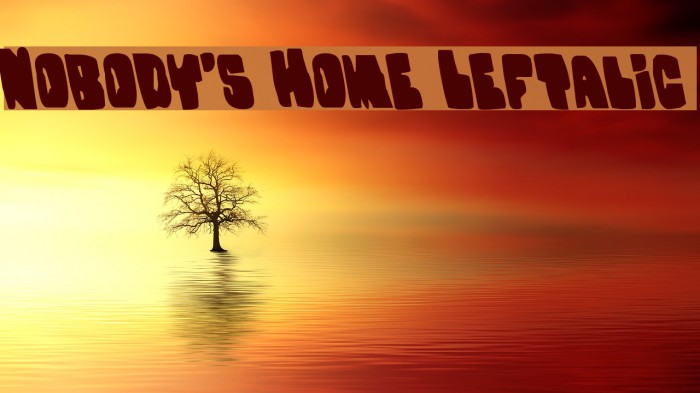 Nobody's Home Leftalic Example 3