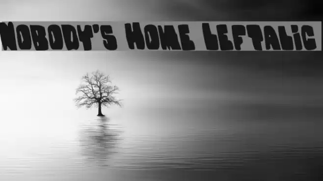 Nobody's Home Leftalic Font examples