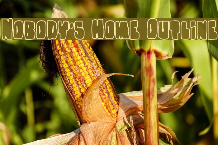 Nobody's Home Outline Example 1