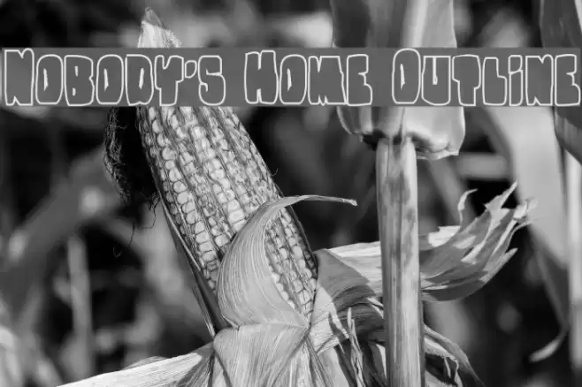 Nobody's Home Outline Font examples