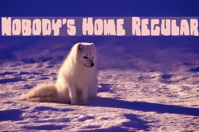 Nobody's Home Regular Fonte examples