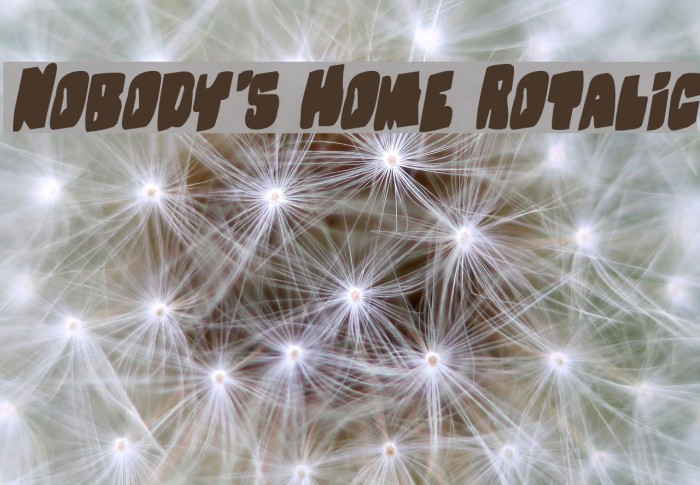 Nobody's Home Rotalic Fonte examples
