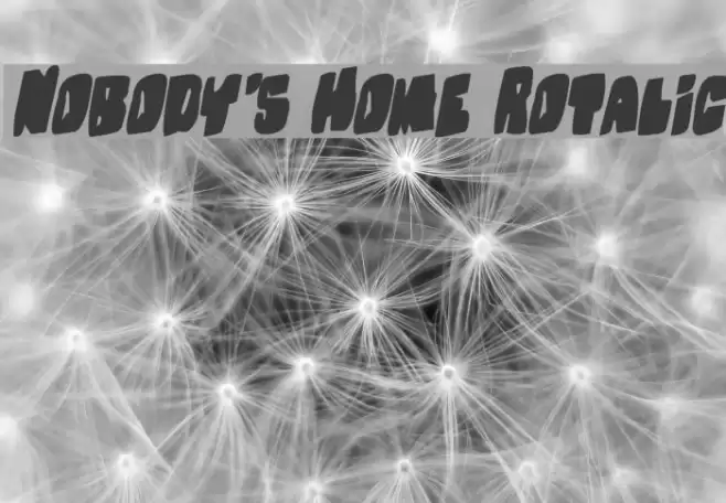 Nobody's Home Rotalic Font examples