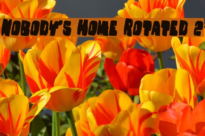 Nobody's Home Rotated 2 Font examples