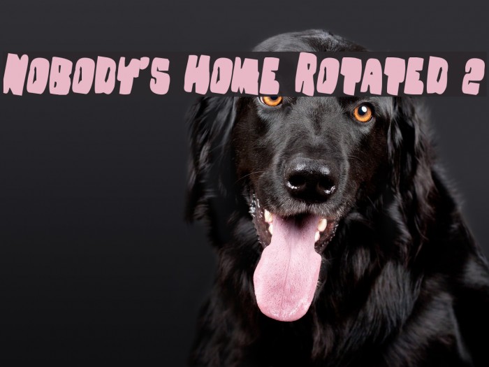 Nobody's Home Rotated 2 Font examples