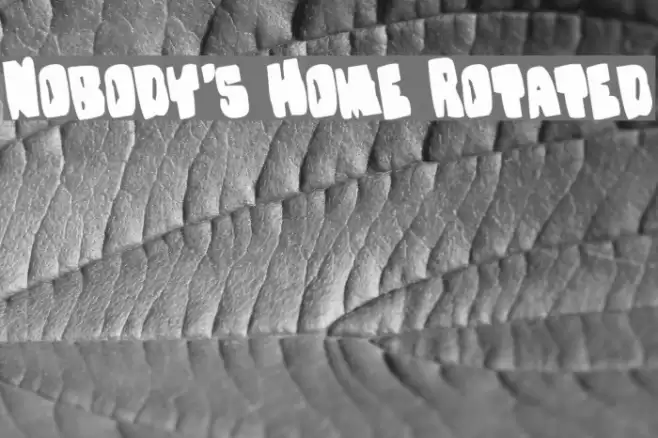 Nobody's Home Rotated Font examples