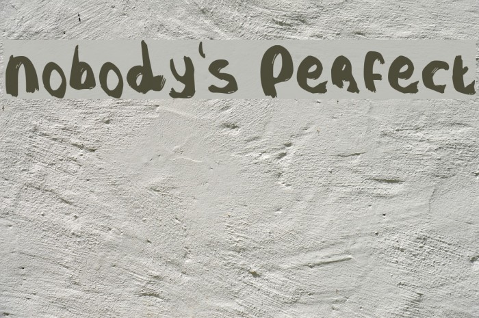 Nobody's Perfect Example 1