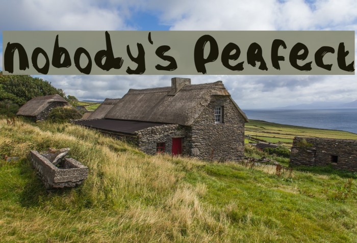 Nobody's Perfect Example 2