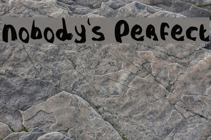 Nobody's Perfect Example 3