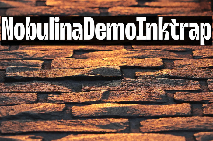 Nobulina Demo Inktrap Example 2