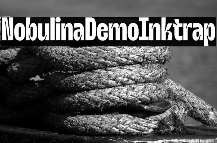 Nobulina Demo Inktrap Example 3
