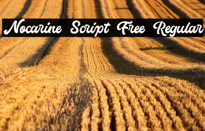 Nocarine Script Free Regular Example 2