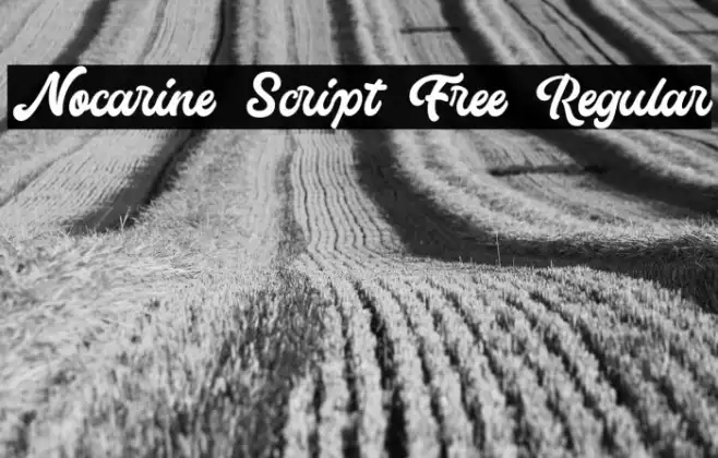Nocarine Script Free Regular Example 2