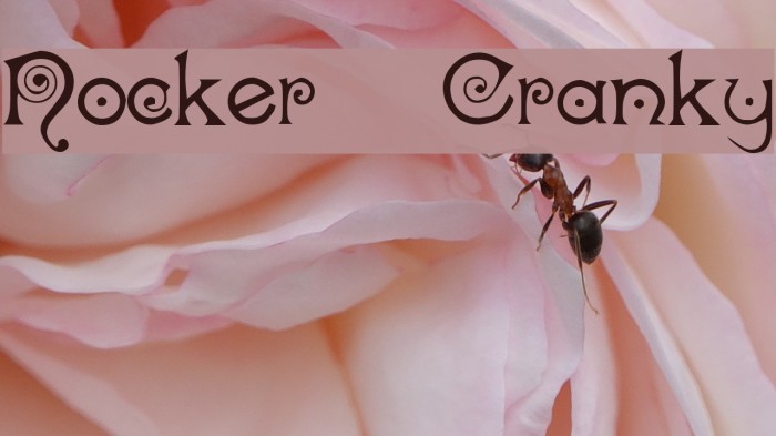 Nocker Cranky Font examples