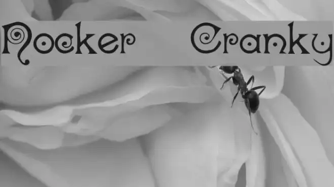 Nocker   Cranky Example 1