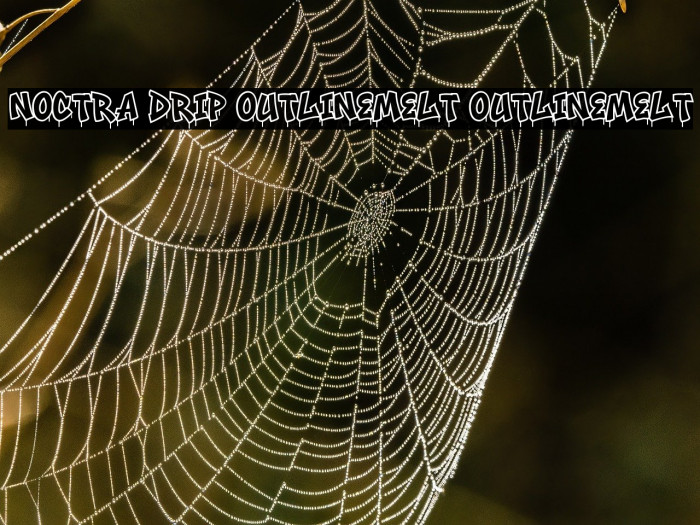 Noctra Drip OutlineMelt OutlineMelt フォント examples