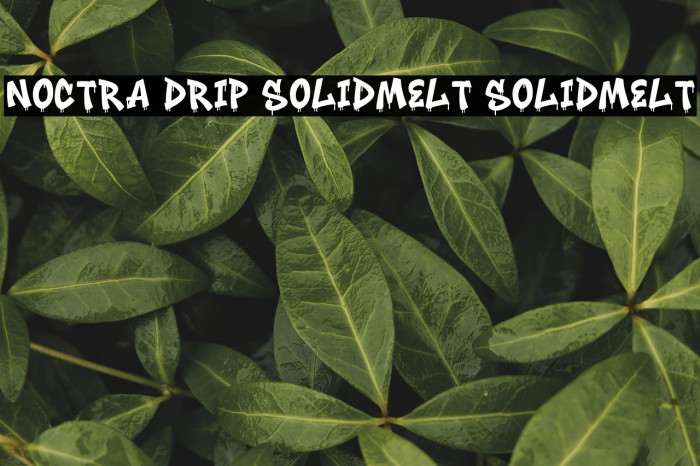 Noctra Drip SolidMelt SolidMelt Font examples