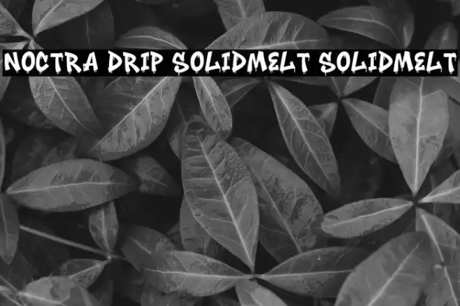 Noctra Drip SolidMelt SolidMelt خط examples