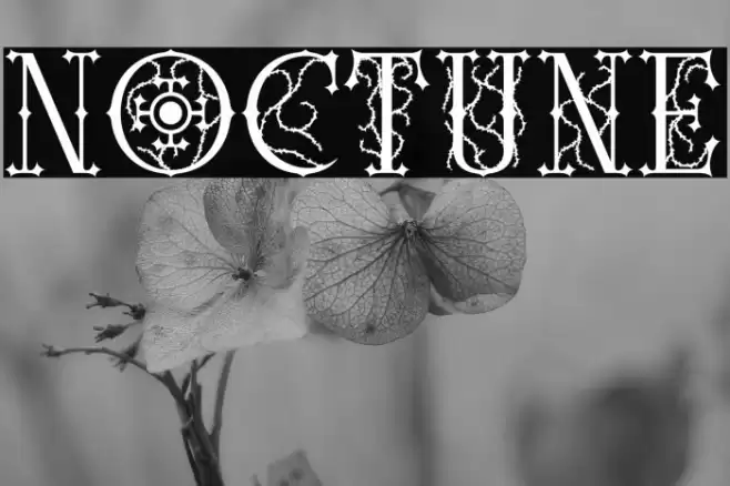 Noctune फ़ॉन्ट examples