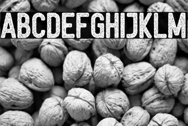 Noctura Sans Font examples