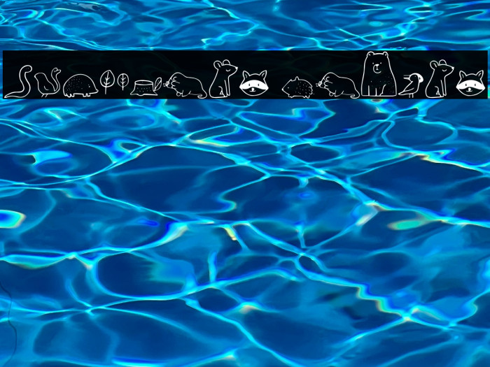 Nocturnal Animal Example 1