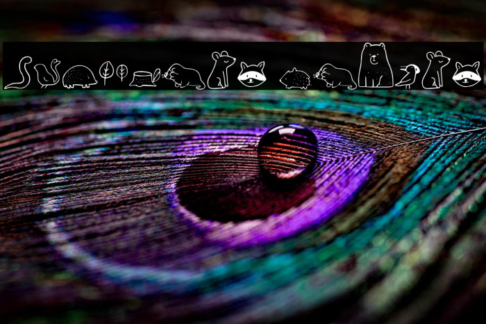 Nocturnal Animal Example 2