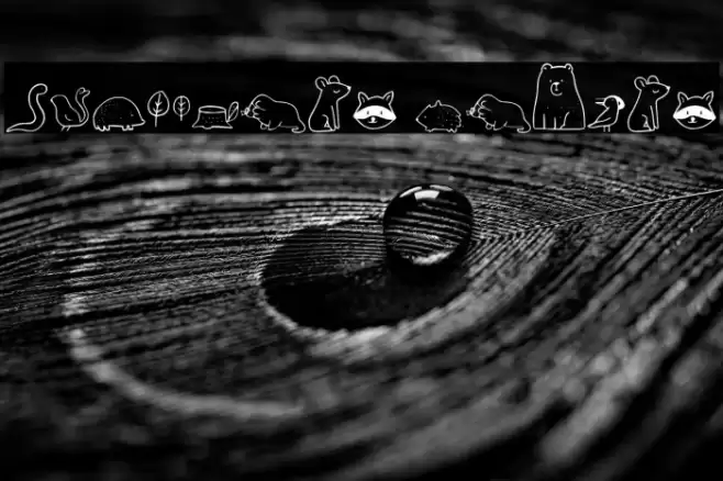 Nocturnal Animal Font examples