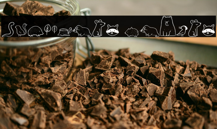 Nocturnal Animal Example 3