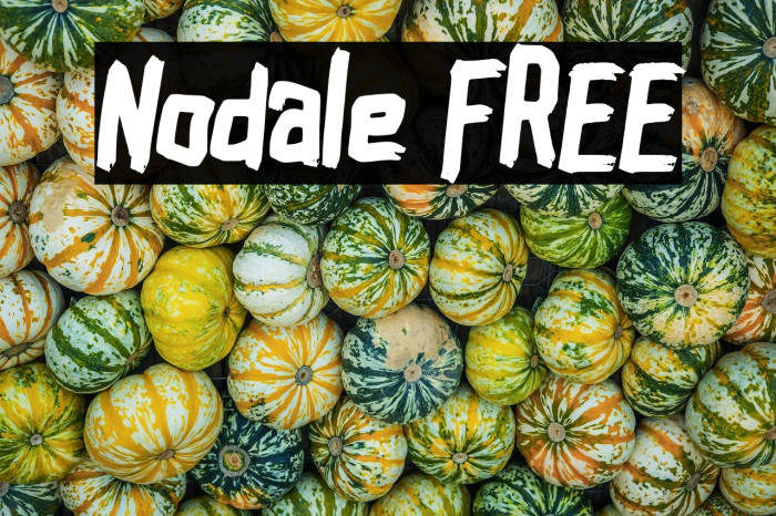 Nodale FREE Example 1