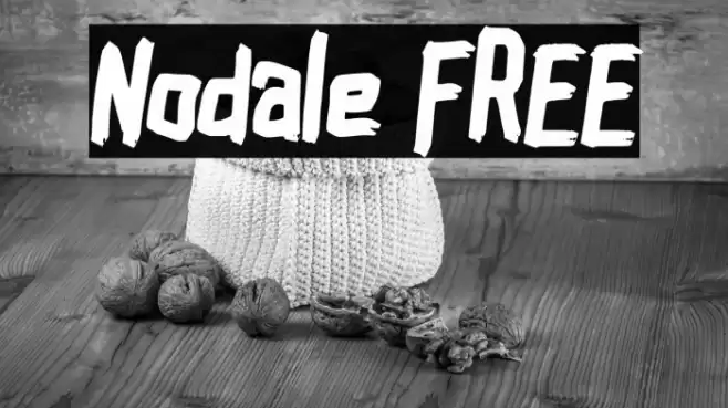 Nodale FREE Font examples