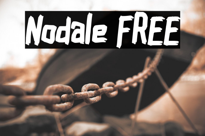 Nodale FREE Example 3