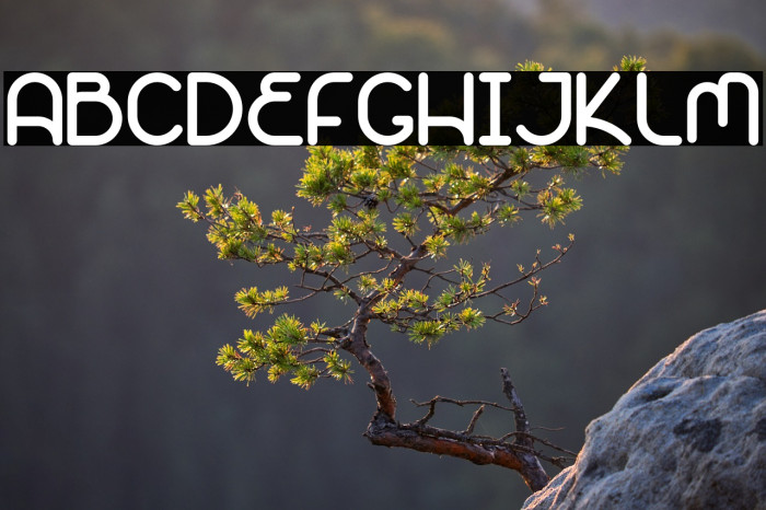 Nodelines New Example 3