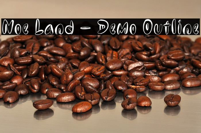 Noe Land - Demo Outline Example 1